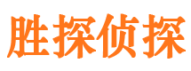 于洪市调查公司